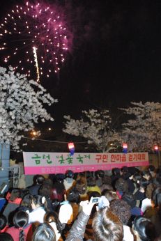 벚꽃축제 불꽃놀이 의 사진12