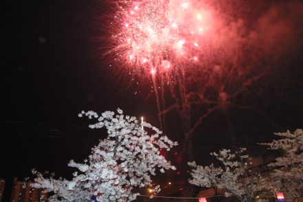 벚꽃축제 불꽃놀이 의 사진13