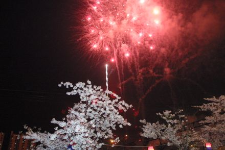 벚꽃축제 불꽃놀이 의 사진14
