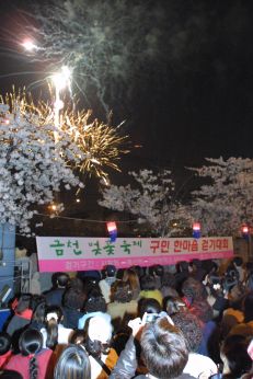 벚꽃축제 불꽃놀이 의 사진17