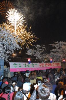 벚꽃축제 불꽃놀이 의 사진21