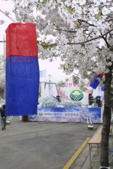 2003년 금천 벚꽃 십리길 개막행 의 사진