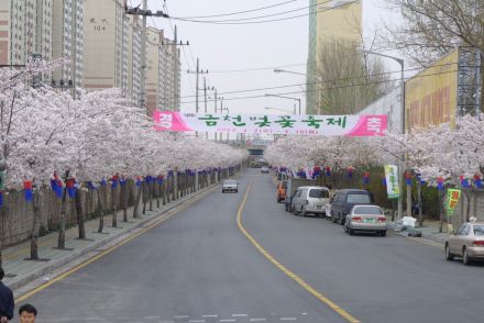 2003년 금천 벚꽃 십리길 개막행 의 사진49
