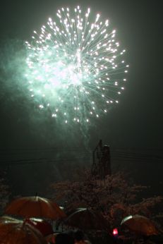 2003년 금천 벚꽃 십리길 개막행 의 사진50