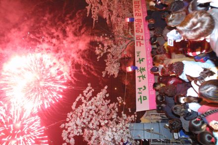 벚꽃축제 불꽃놀이 의 사진36