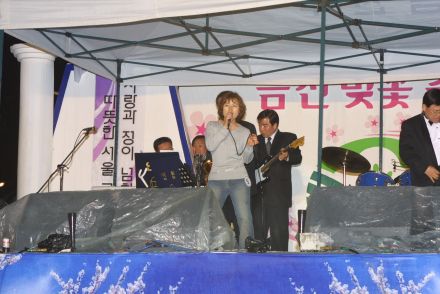 2003년 금천 벚꽃 십리길 개막행 의 사진87