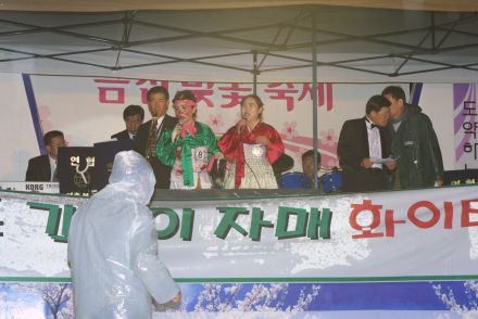 2003년 금천 벚꽃 십리길 개막행 의 사진99