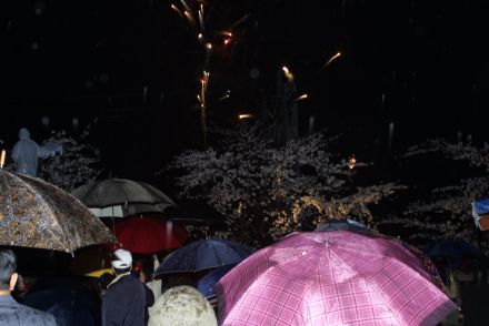 2003년 금천 벚꽃 십리길 개막행 의 사진103
