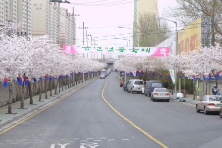2003년 금천 벚꽃 십리길 개막행 의 사진104