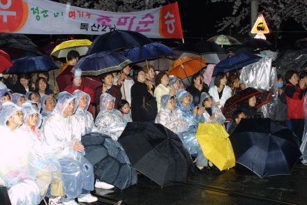 2003년 금천 벚꽃 십리길 개막행 의 사진111