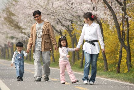 금천한내-벚꽃길(연출) 의 사진26