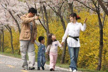 금천한내-벚꽃길(연출) 의 사진34