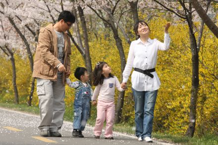 금천한내-벚꽃길(연출) 의 사진36