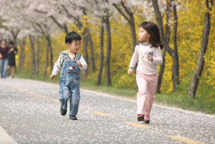 금천한내-벚꽃길(연출) 의 사진48