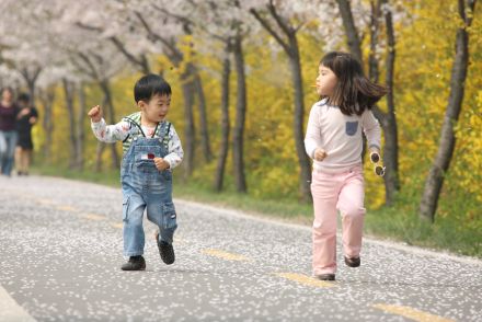 금천한내-벚꽃길(연출) 의 사진49