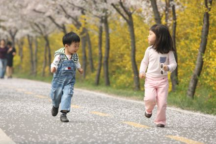 금천한내-벚꽃길(연출) 의 사진50