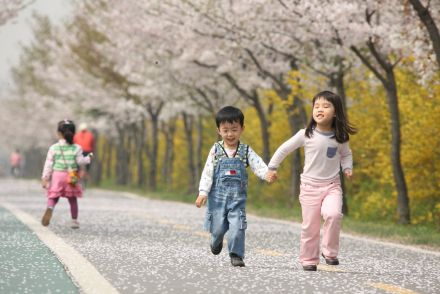 금천한내-벚꽃길(연출) 의 사진63
