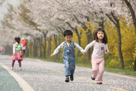 금천한내-벚꽃길(연출) 의 사진64