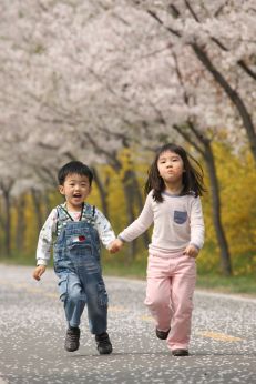 금천한내-벚꽃길(연출) 의 사진67