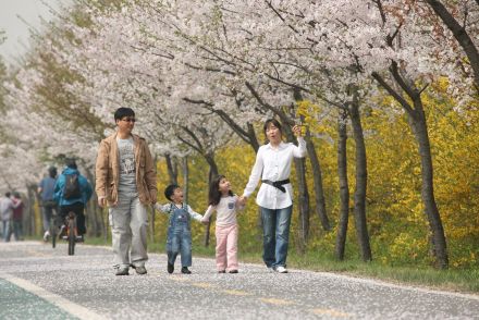 금천한내-벚꽃길(연출) 의 사진90