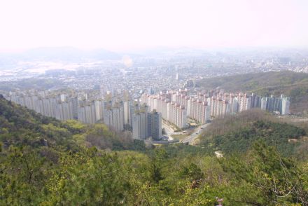 삼성산에서 본 금천구 전경 의 사진13