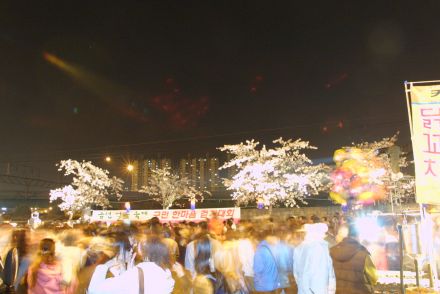 벚꽃축제 불꽃놀이 의 사진67