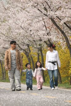 금천한내-벚꽃길(연출) 의 사진115