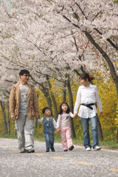 금천한내-벚꽃길(연출) 의 사진116