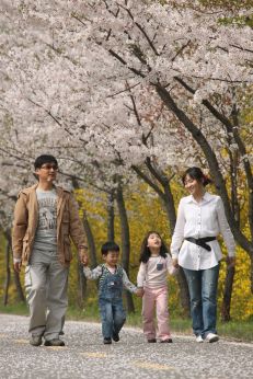 금천한내-벚꽃길(연출) 의 사진120