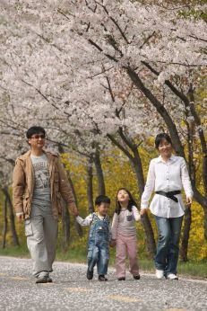 금천한내-벚꽃길(연출) 의 사진122