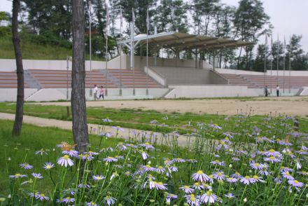 체육공원에 핀 꽃 의 사진4