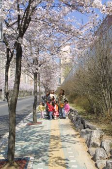 2002 벚꽃십리길 의 사진74