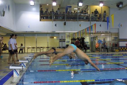 제3회 구청장기 수영대회 의 사진4
