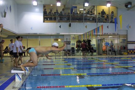 제3회 구청장기 수영대회 의 사진24