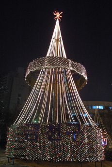 2005 크리스마스트리 의 사진43