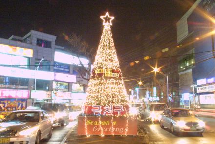 2005 크리스마스트리 의 사진52
