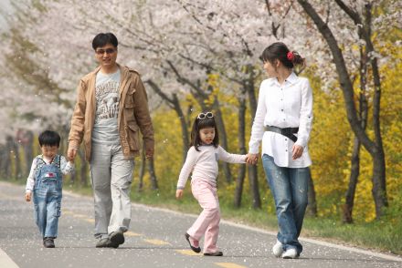 금천한내-벚꽃길(연출) 의 사진165