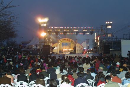 2006 금천벚꽃축제 의 사진229