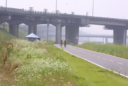 금천한내(자전거도로) 의 사진134
