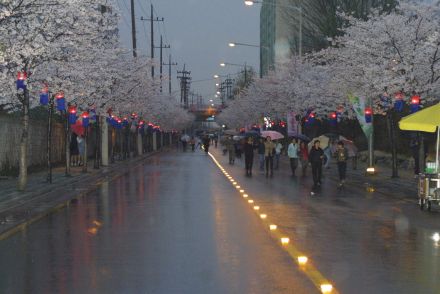 2003년 금천 벚꽃 십리길 개막행 의 사진126