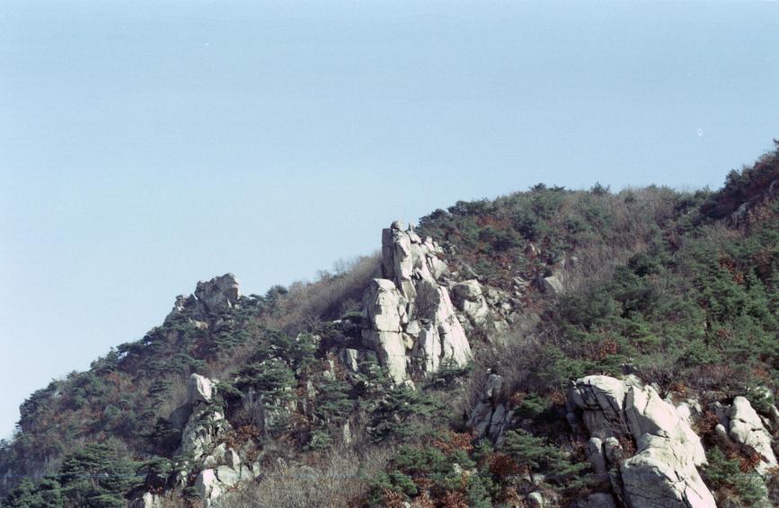 1996년 호암산에서 바라본 금천 의 사진3