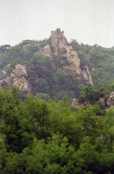 1996년 호암산에서 바라본 금천 의 사진6