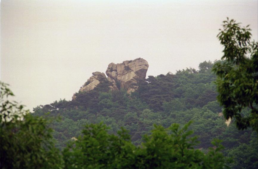 1996년 호암산에서 바라본 금천 의 사진7