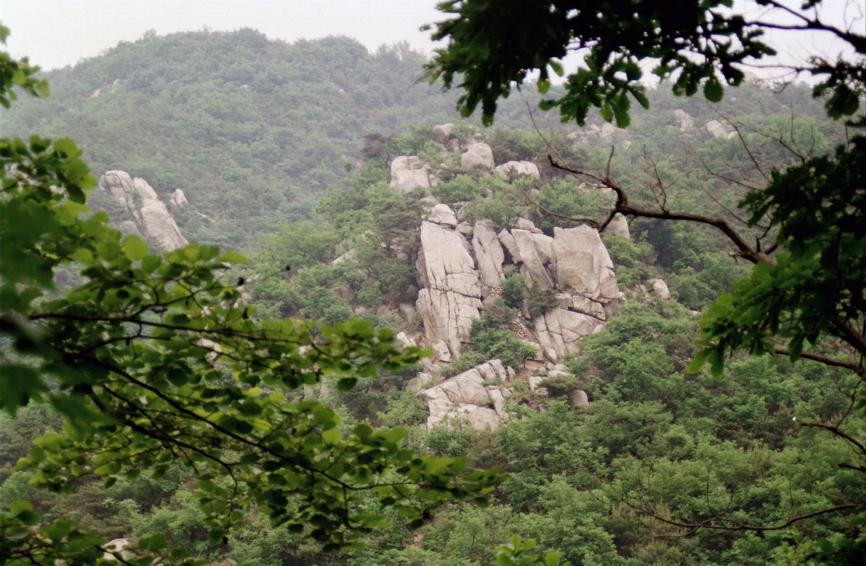 1996년 호암산에서 바라본 금천 의 사진8