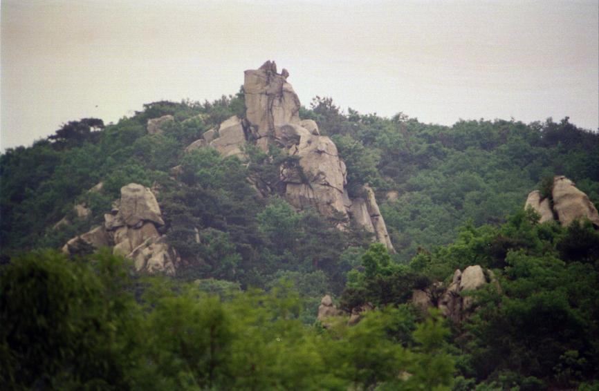 1996년 호암산에서 바라본 금천 의 사진10