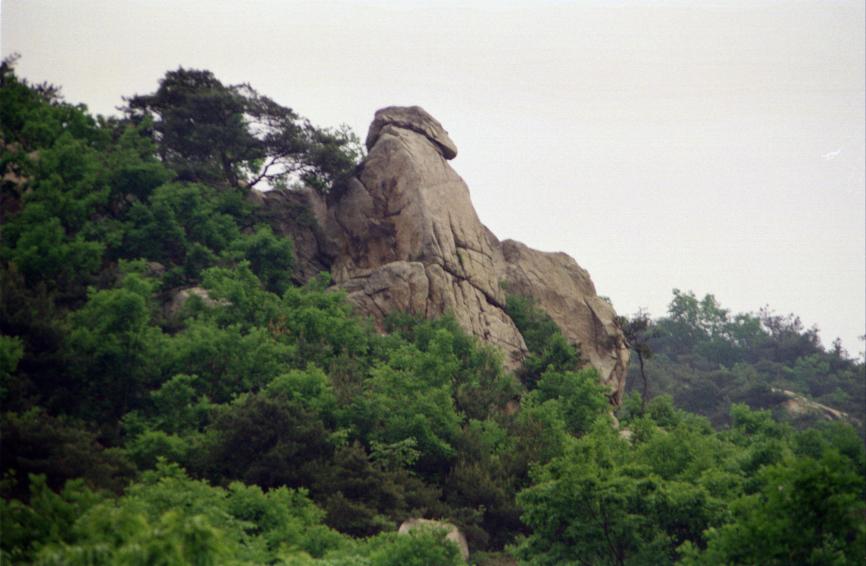 1996년 호암산에서 바라본 금천 의 사진11