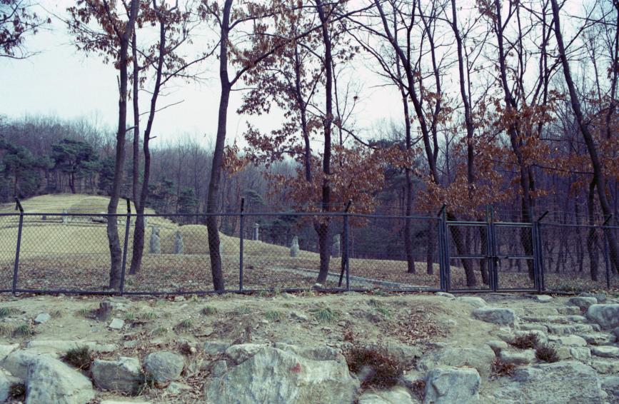 1996년 순흥안씨묘 의 사진3