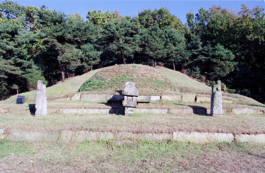 1998년 순흥안씨묘 의 사진12
