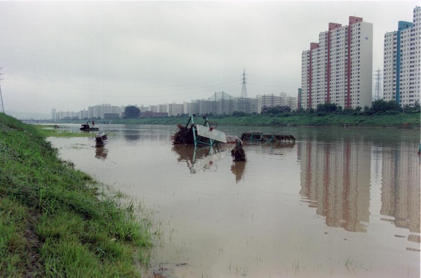 1998년 금천한내(안양천) 전경 의 사진61