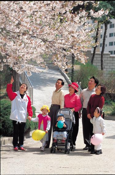 2002 벚꽃 과 가족 의 사진
